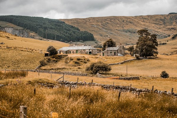 How to find a holiday rental in the New Forest with access to falconry demonstrations?